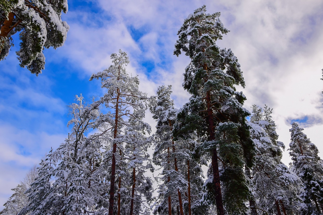 sky winter nature free photo