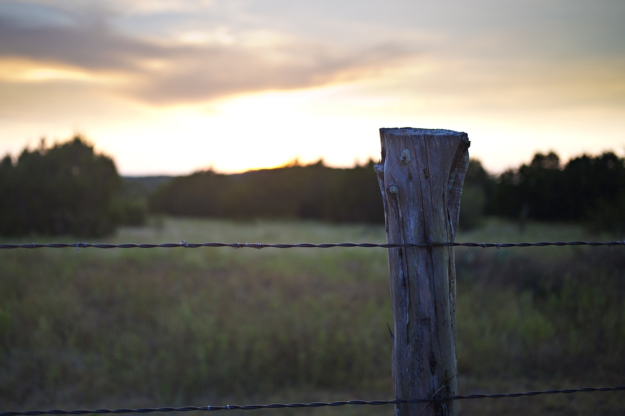 sky fence post free photo