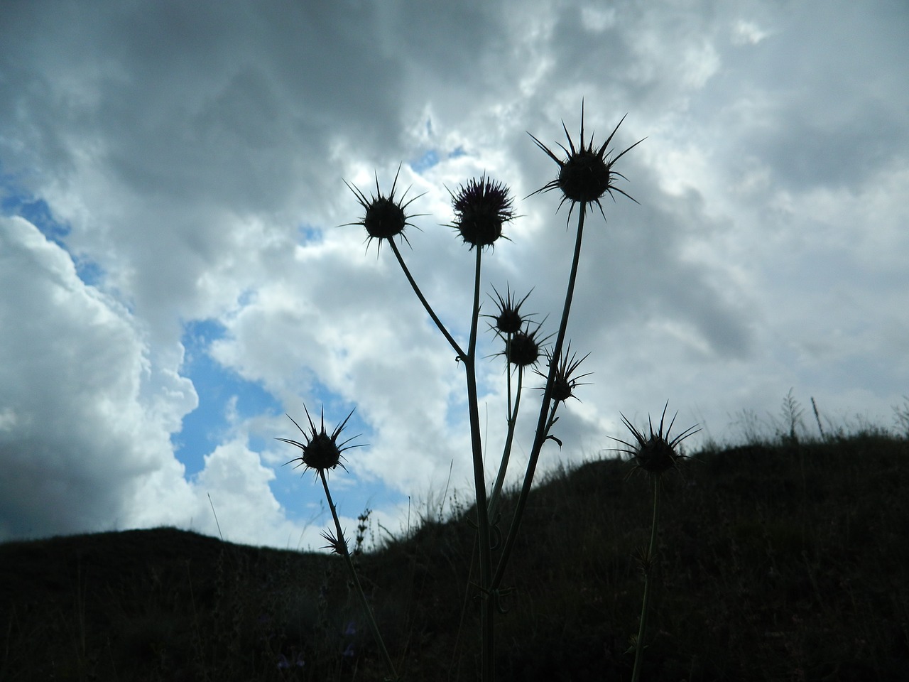 sky clouds rain free photo