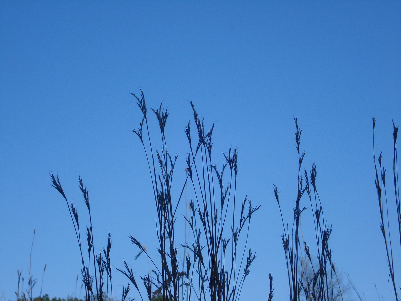 sky blue nature free photo