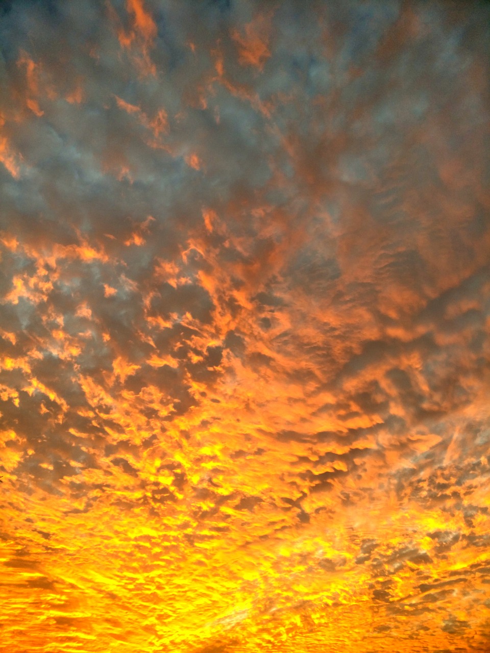 sky sunset cloud free photo