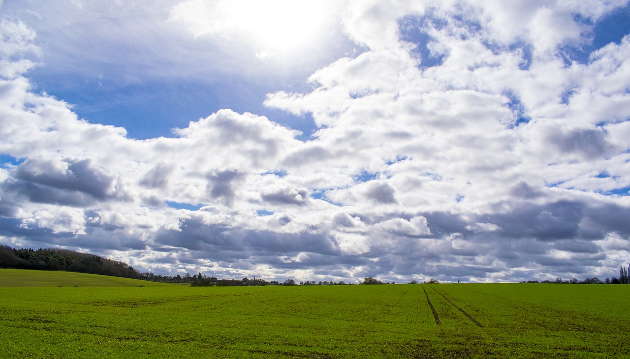 sky grass field free photo