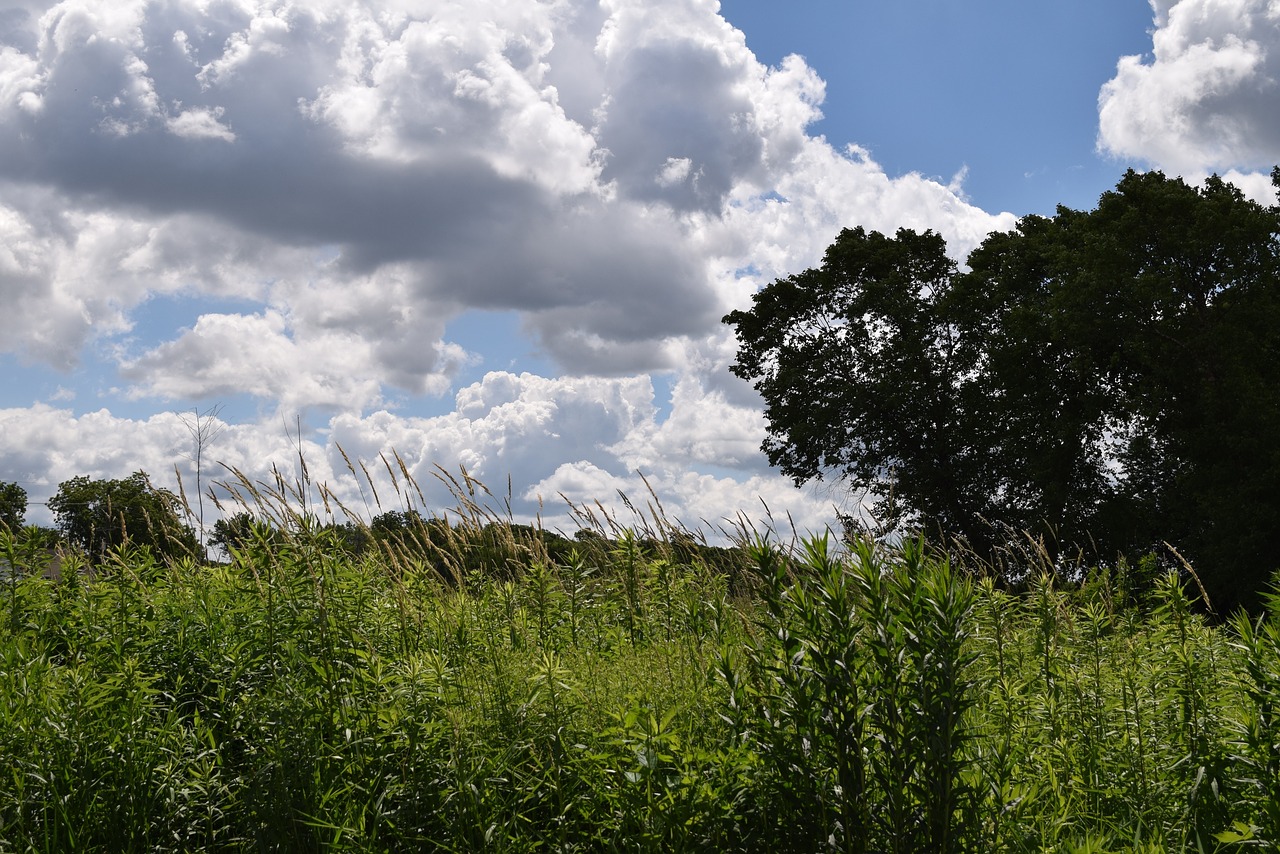 sky clouds nature free photo