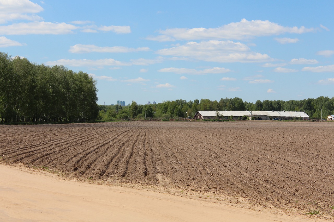 sky field land free photo