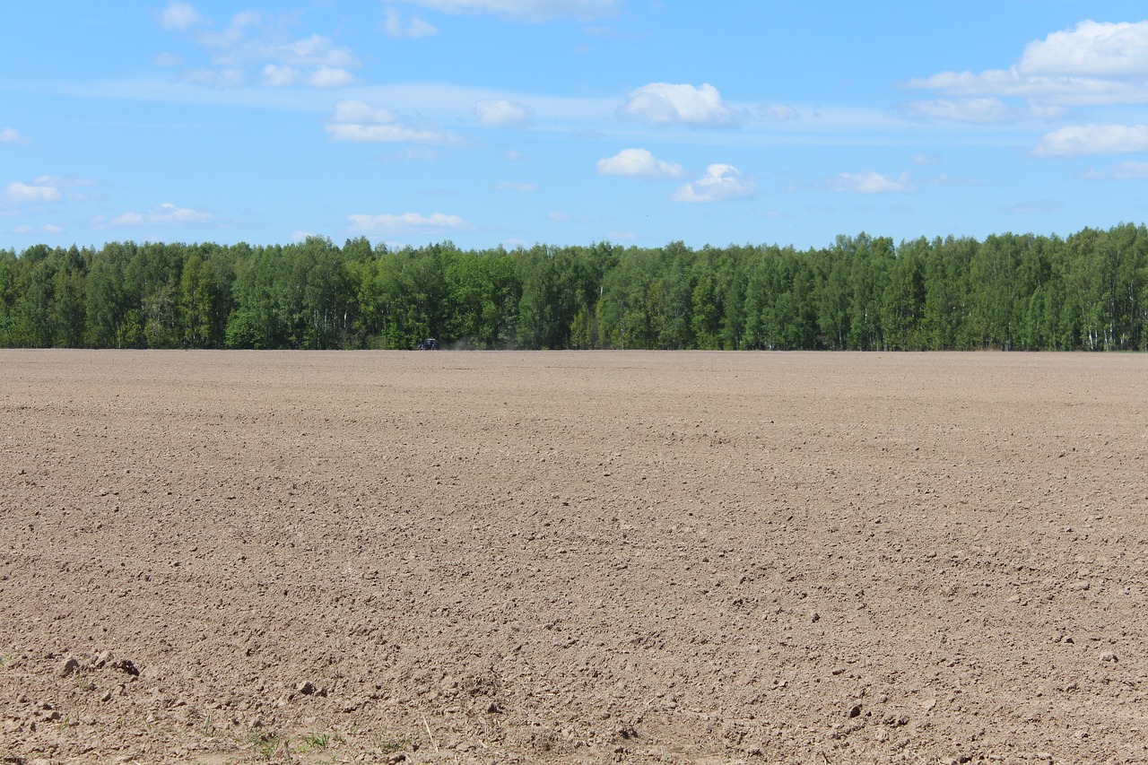 sky field land free photo