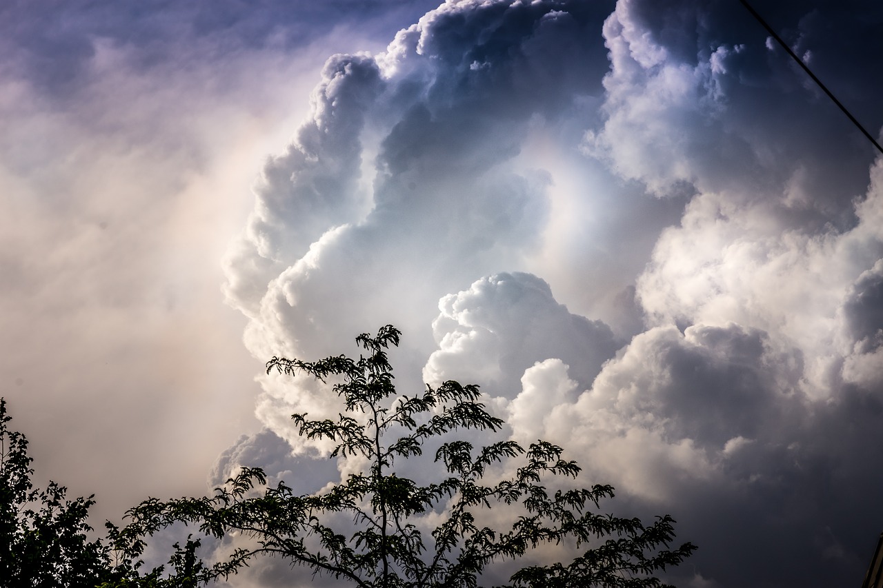 sky clouds trees free photo