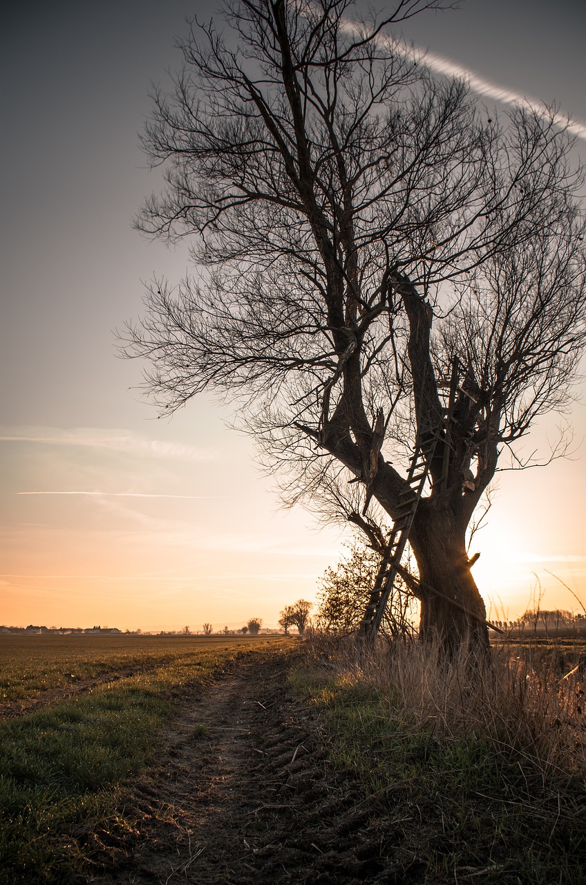 sky sunset sunrise free photo