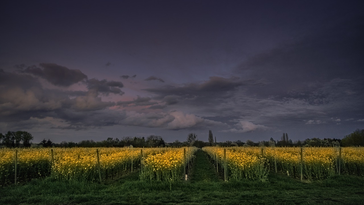 sky clouds dark free photo