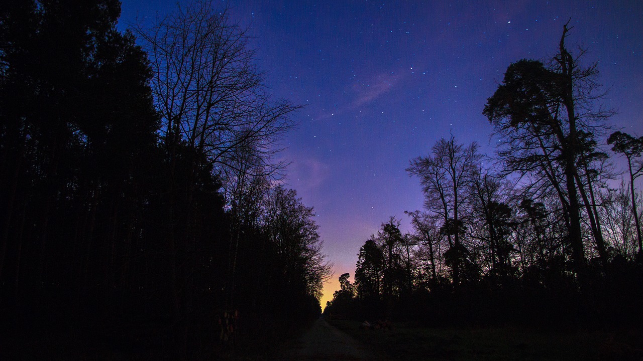 sky blue stars free photo