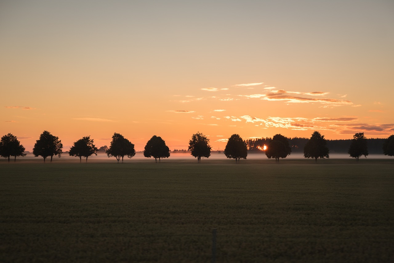 sky sunset sunrise free photo