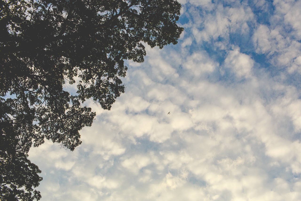 sky clouds airplane free photo