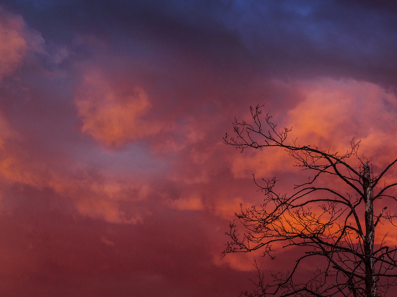 sky orange sunset free photo