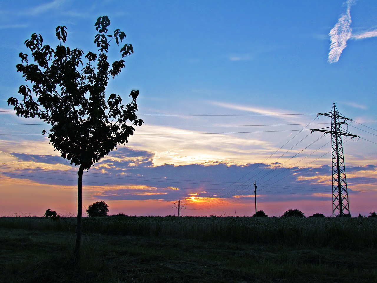 sky west tree free photo