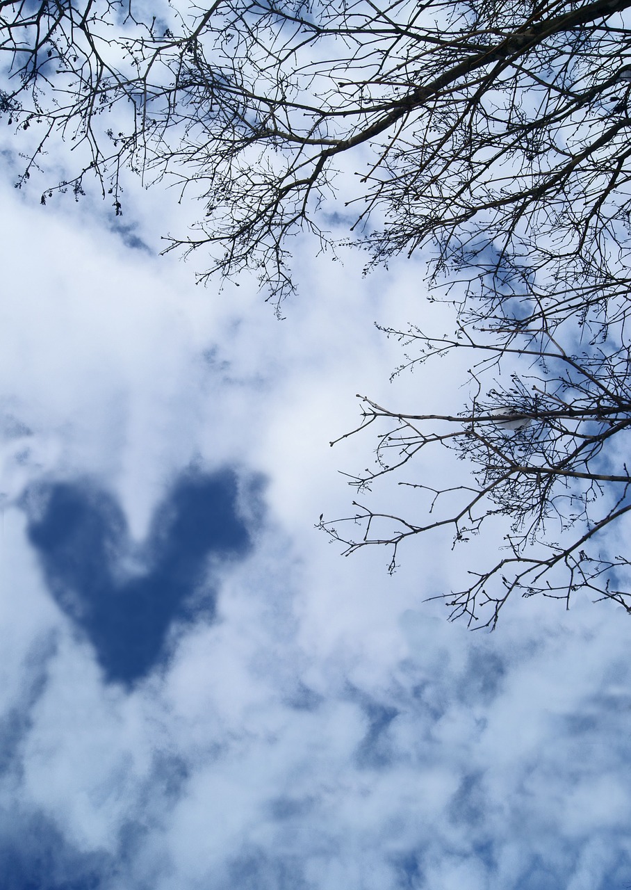 sky heart branch free photo