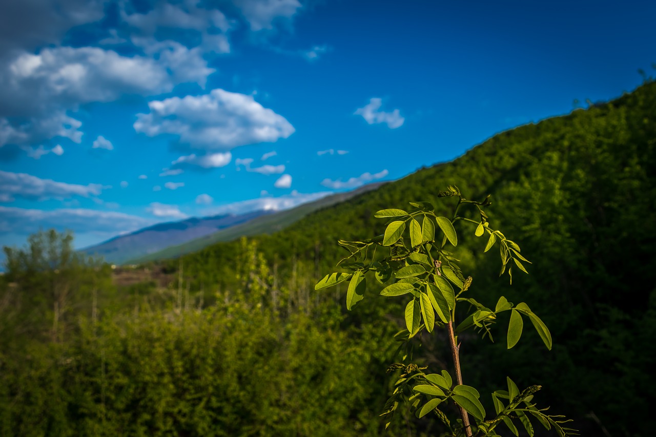 sky nature mountain free photo