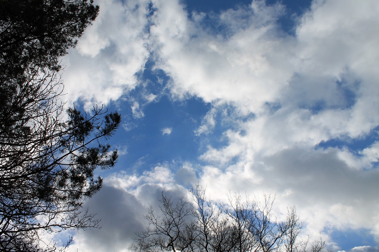 sky clouds blue free photo