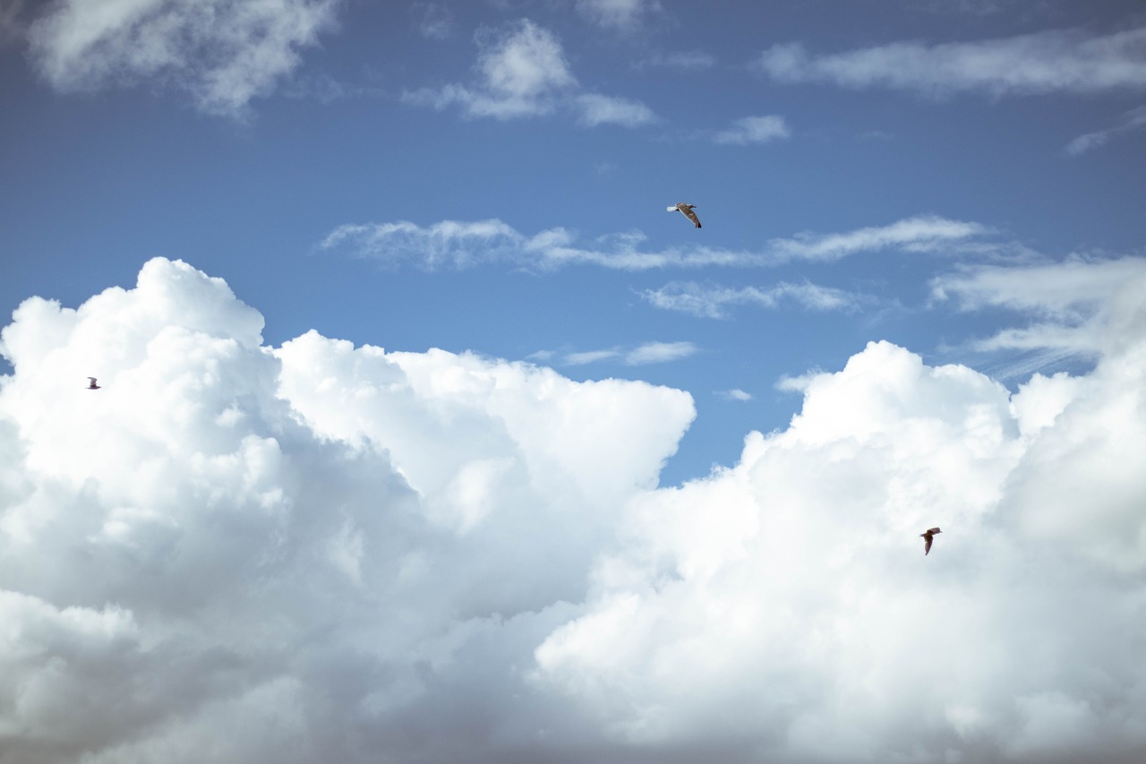 sky sunset cloud free photo