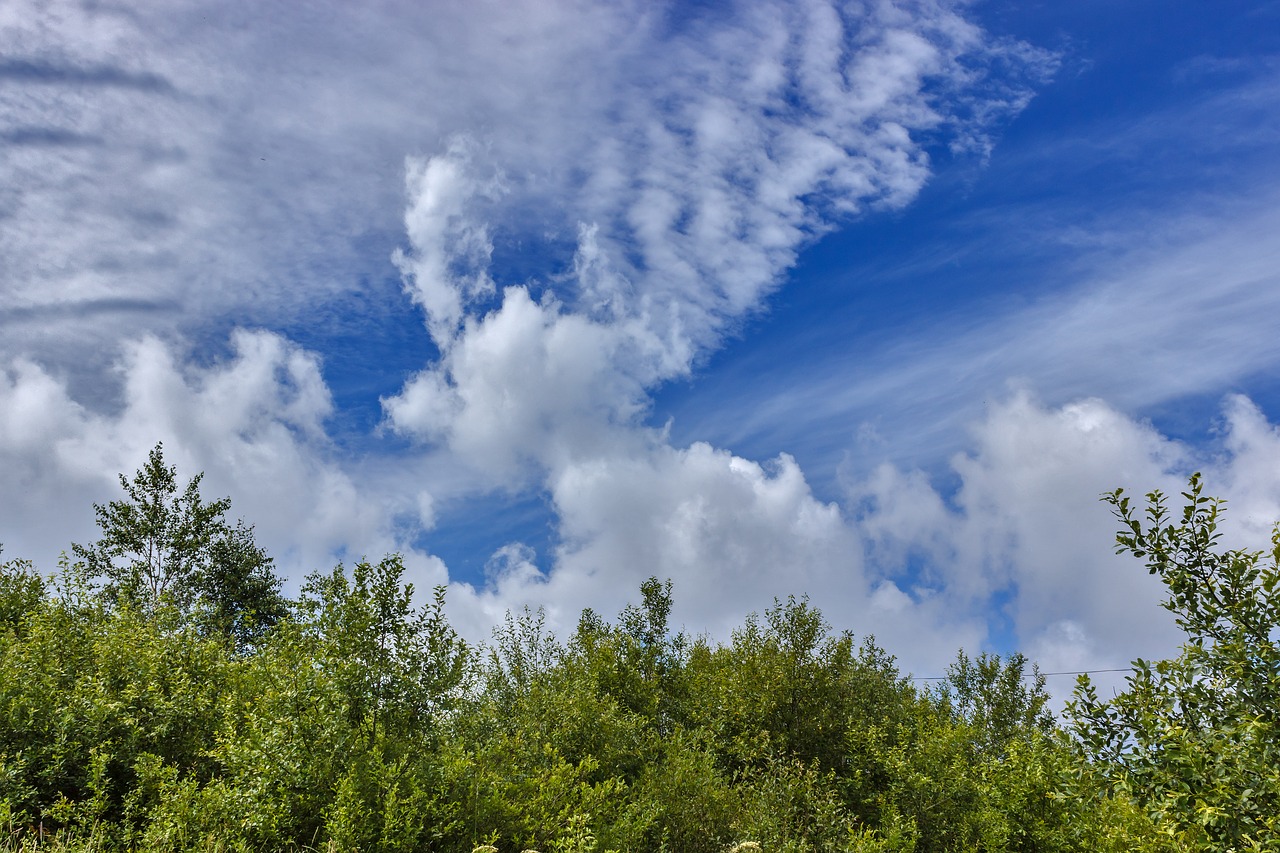 sky clouds cumulus free photo