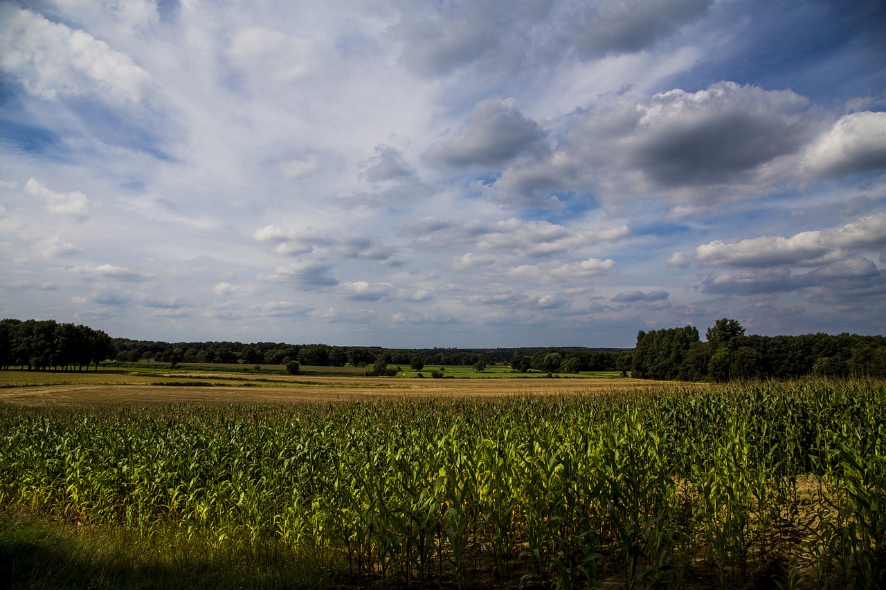 sky blue clouds free photo