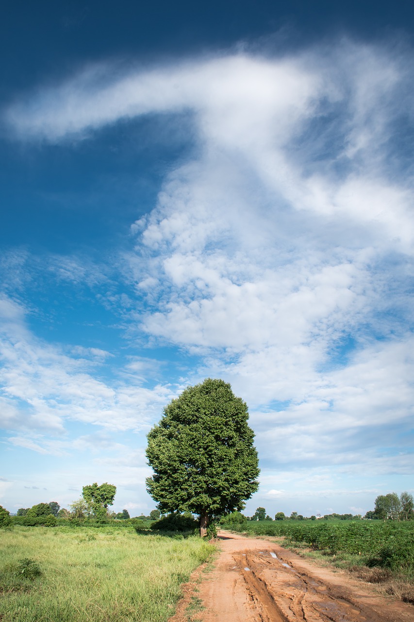 sky sky blue after the rain beautiful free photo