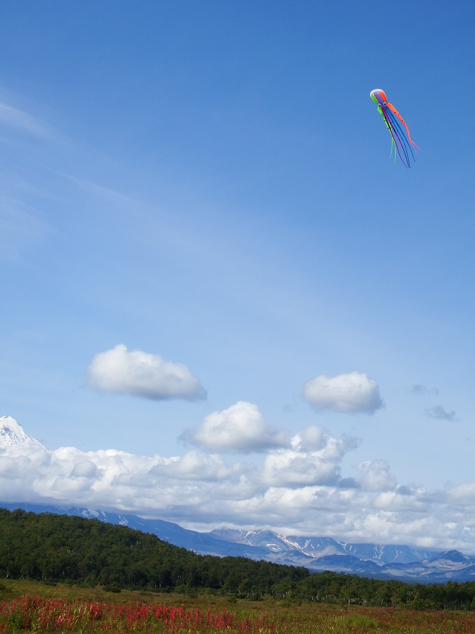 sky clouds kite free photo