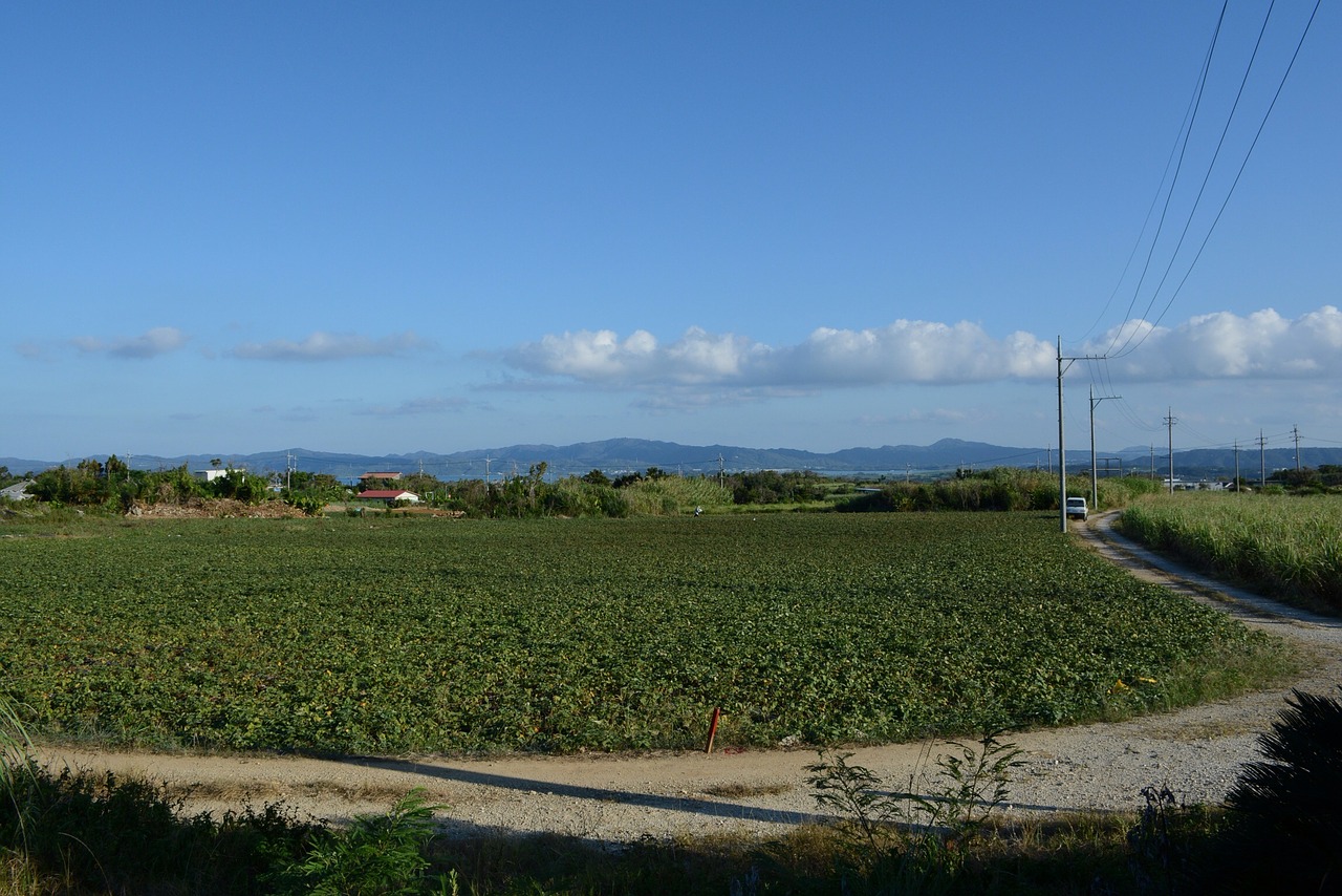 sky cloud field free photo