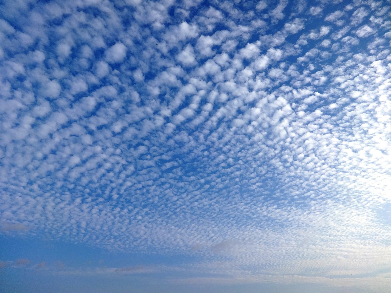 sky clouds cirrus free photo