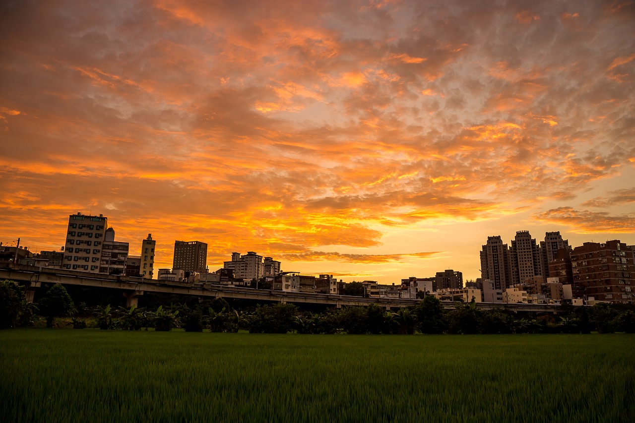 sky the evening sun yellow free photo