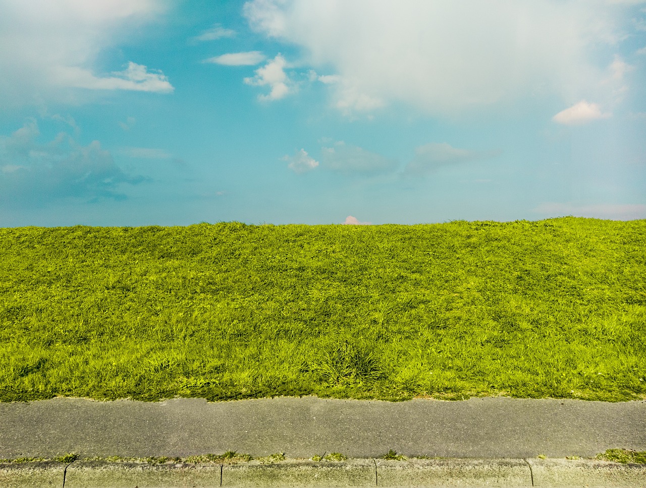 sky texture green free photo