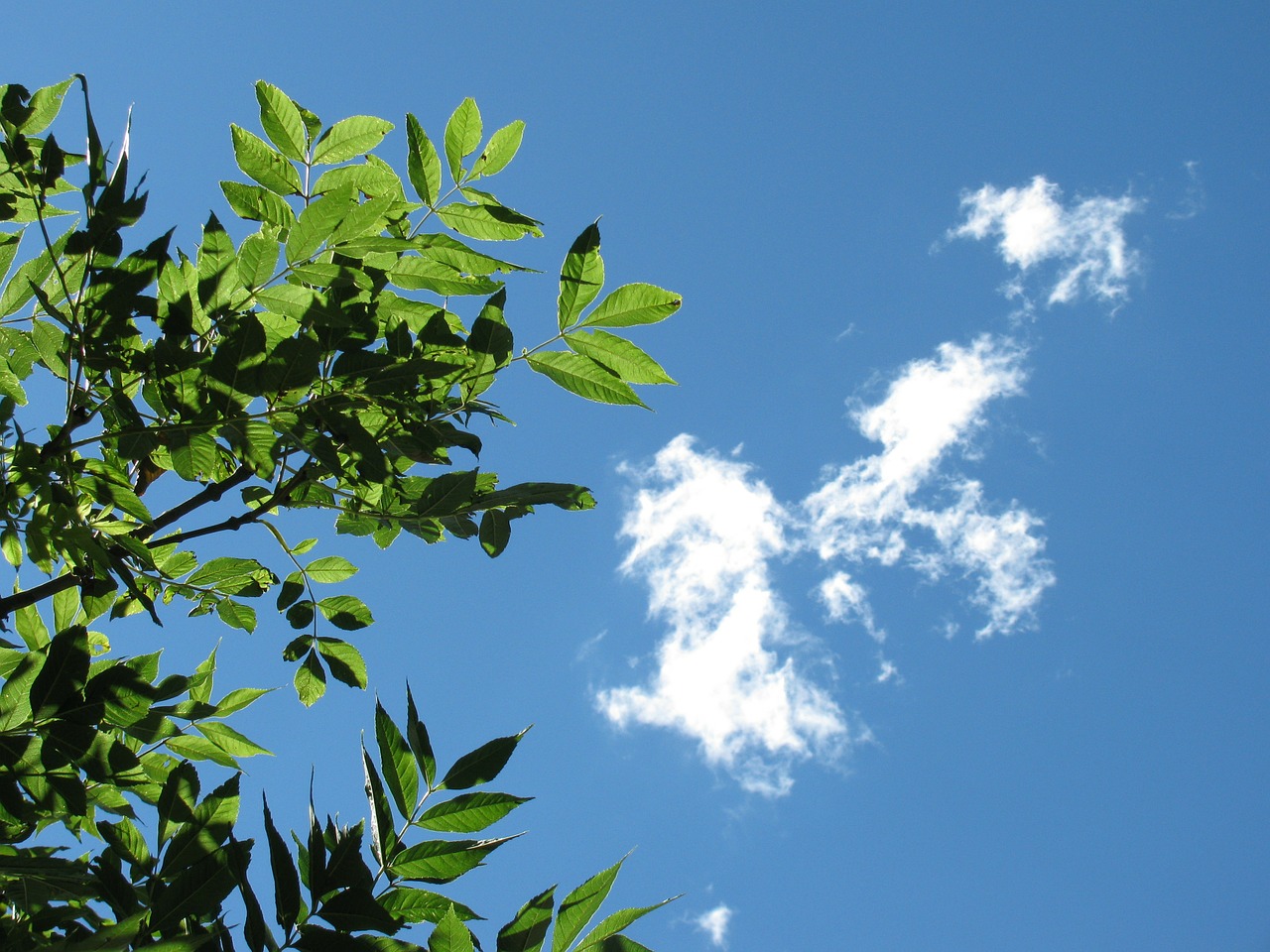 sky nature clouds free photo