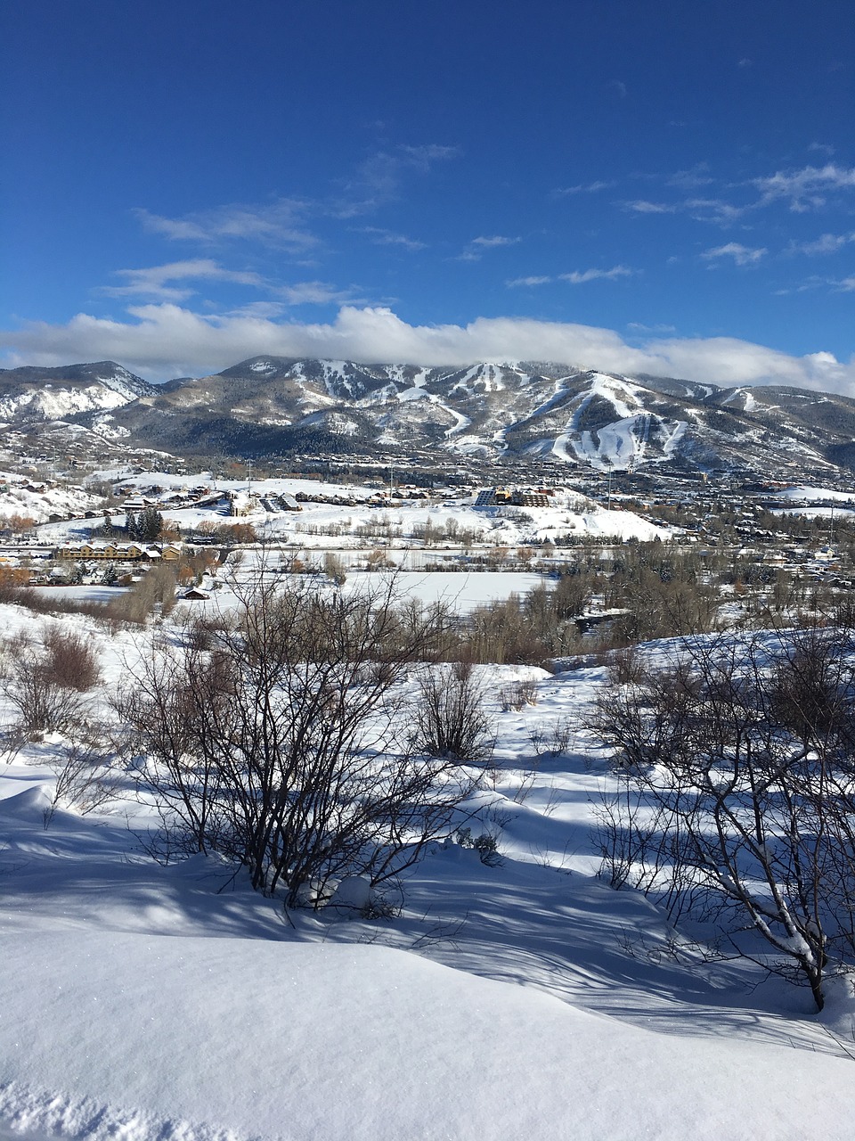 sky trees colorado free photo