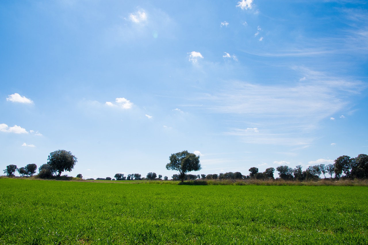 sky green blue free photo