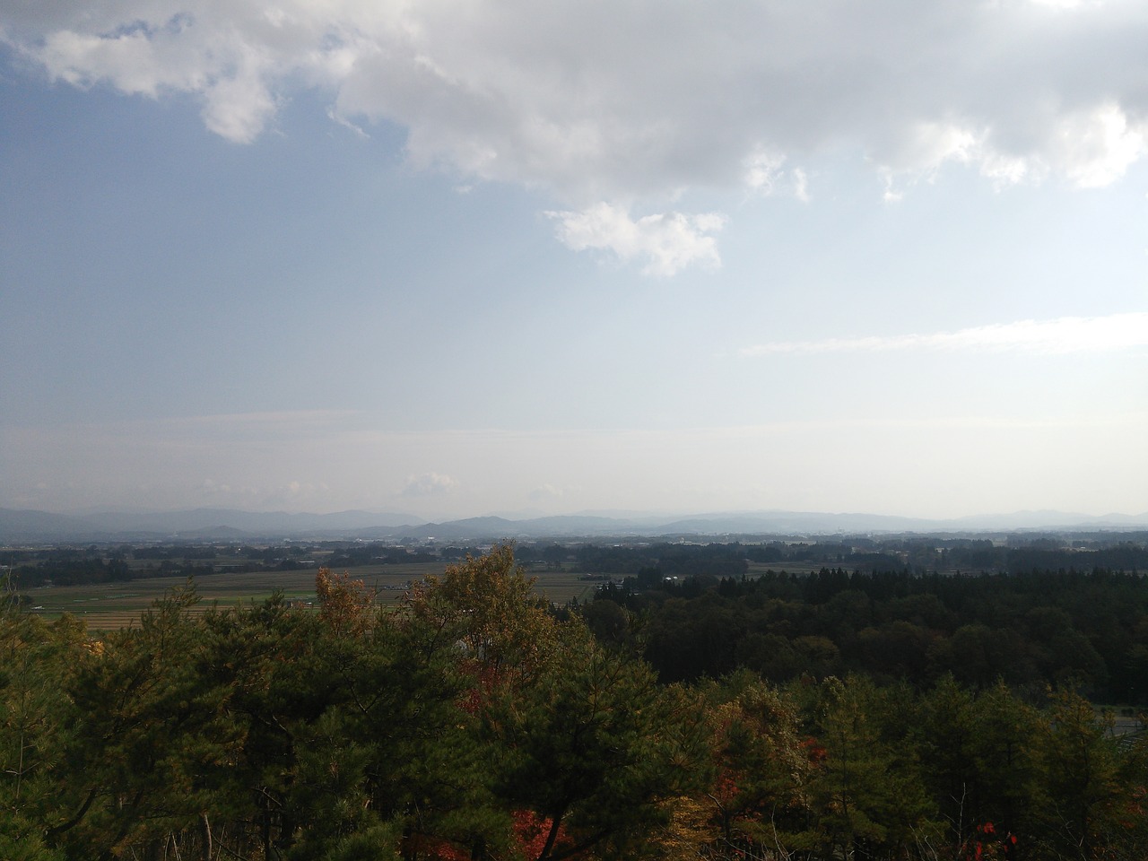 sky cloud autumnal leaves free photo