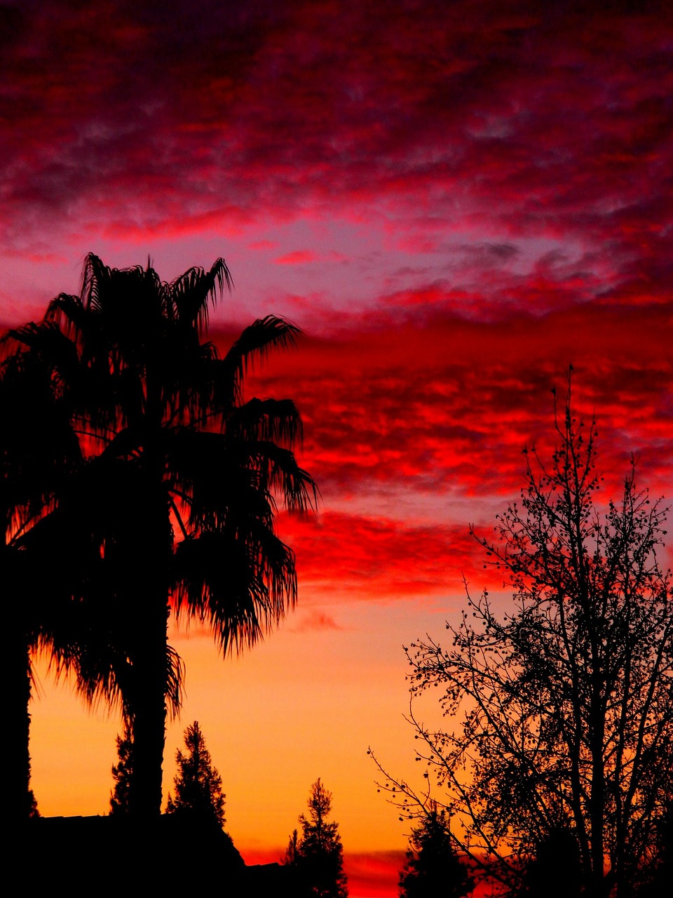 sky sunset colors free photo