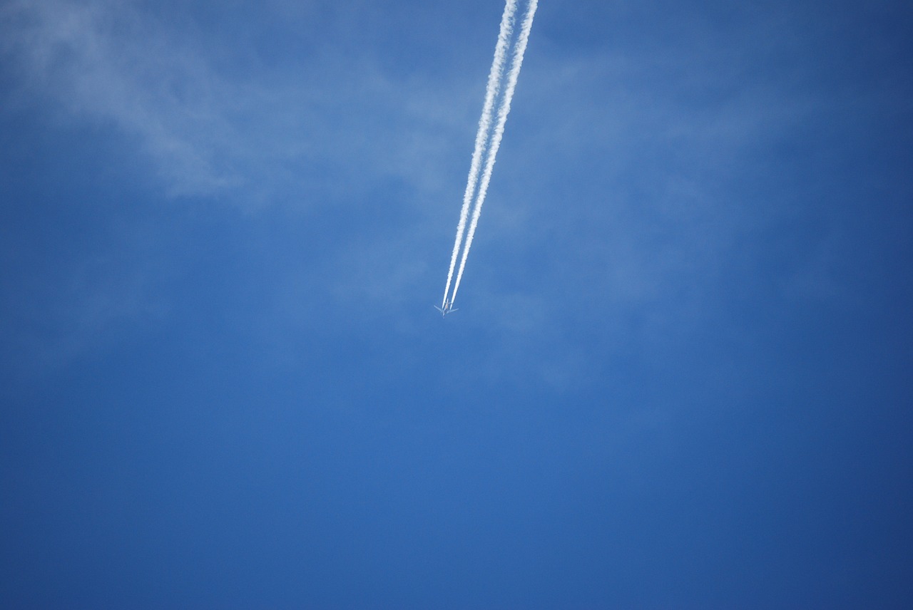 sky blue flying free photo