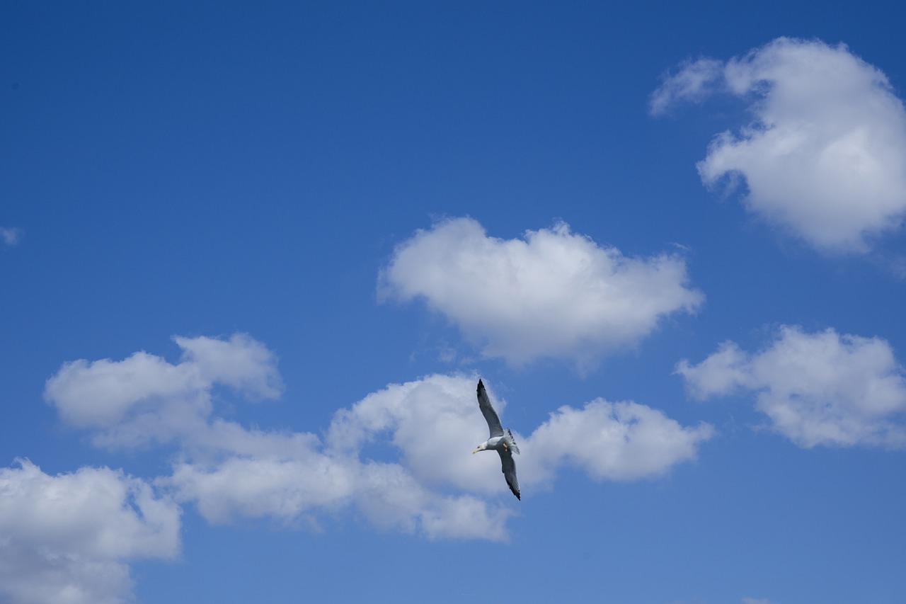 sky cloud air free photo