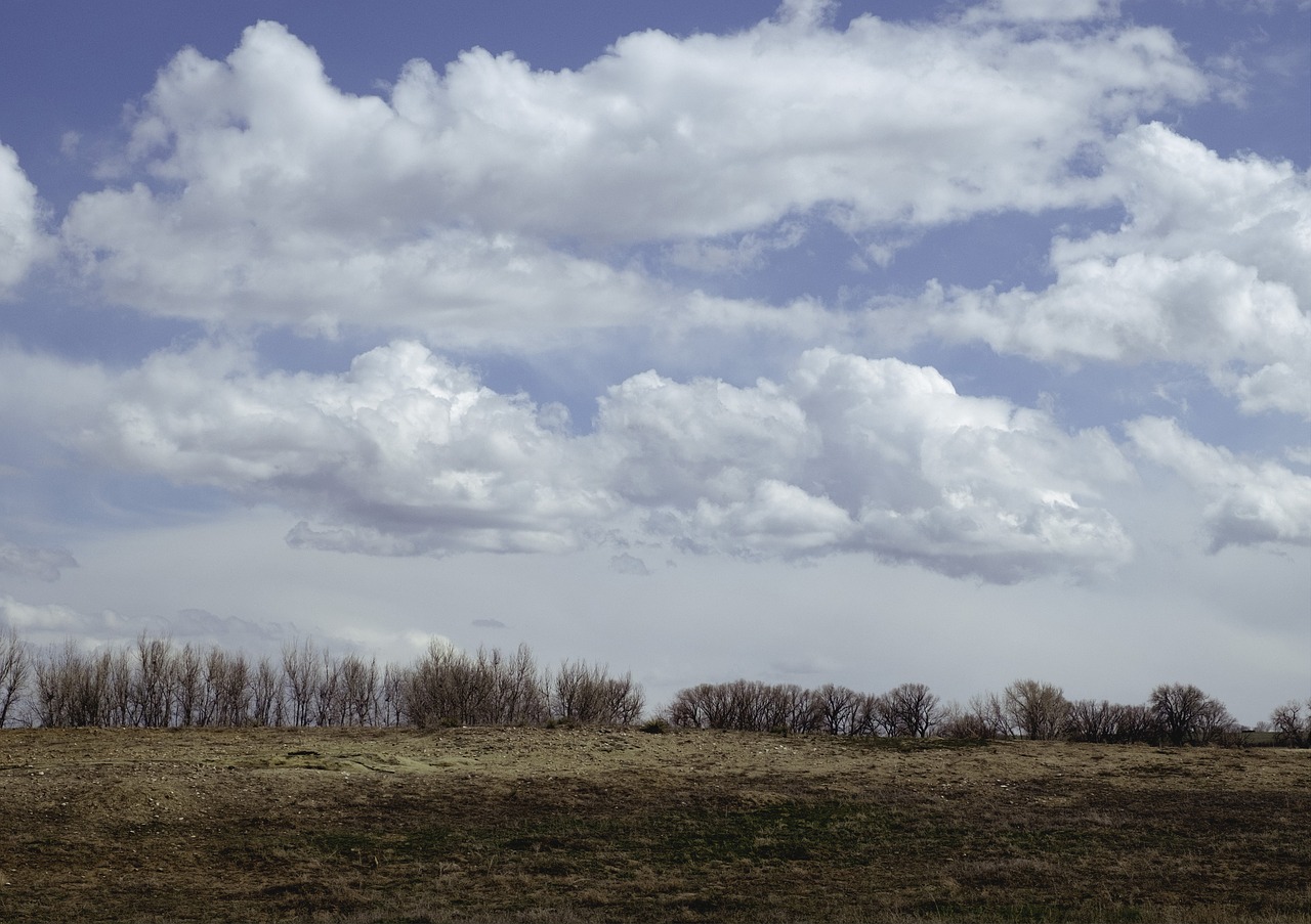 sky blue green free photo