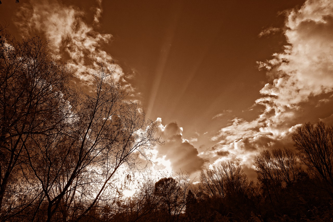 sky clouds cumulus free photo