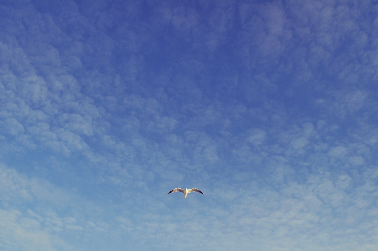 sky blue sky clouds free photo