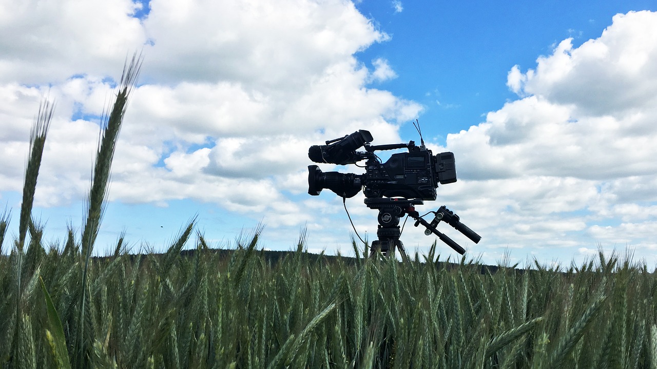 sky grass field free photo