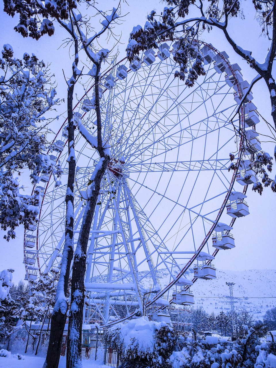 sky tree snow free photo