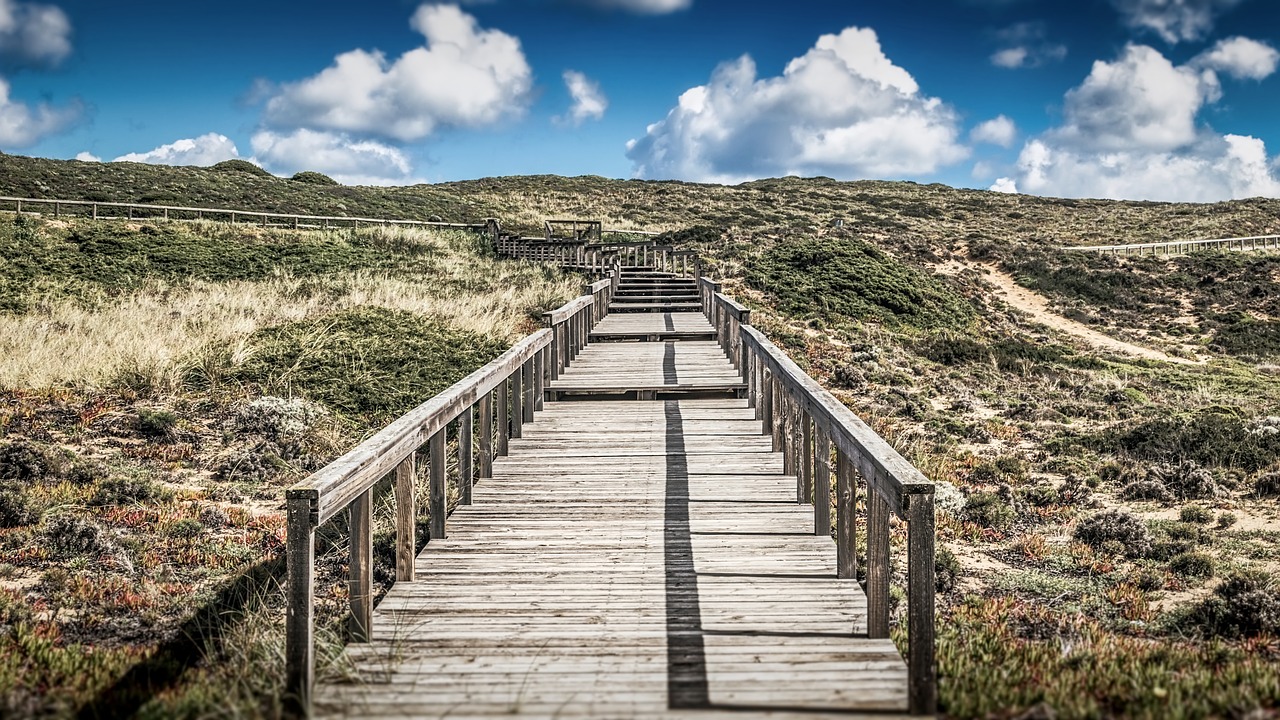 sky nature wooden free photo