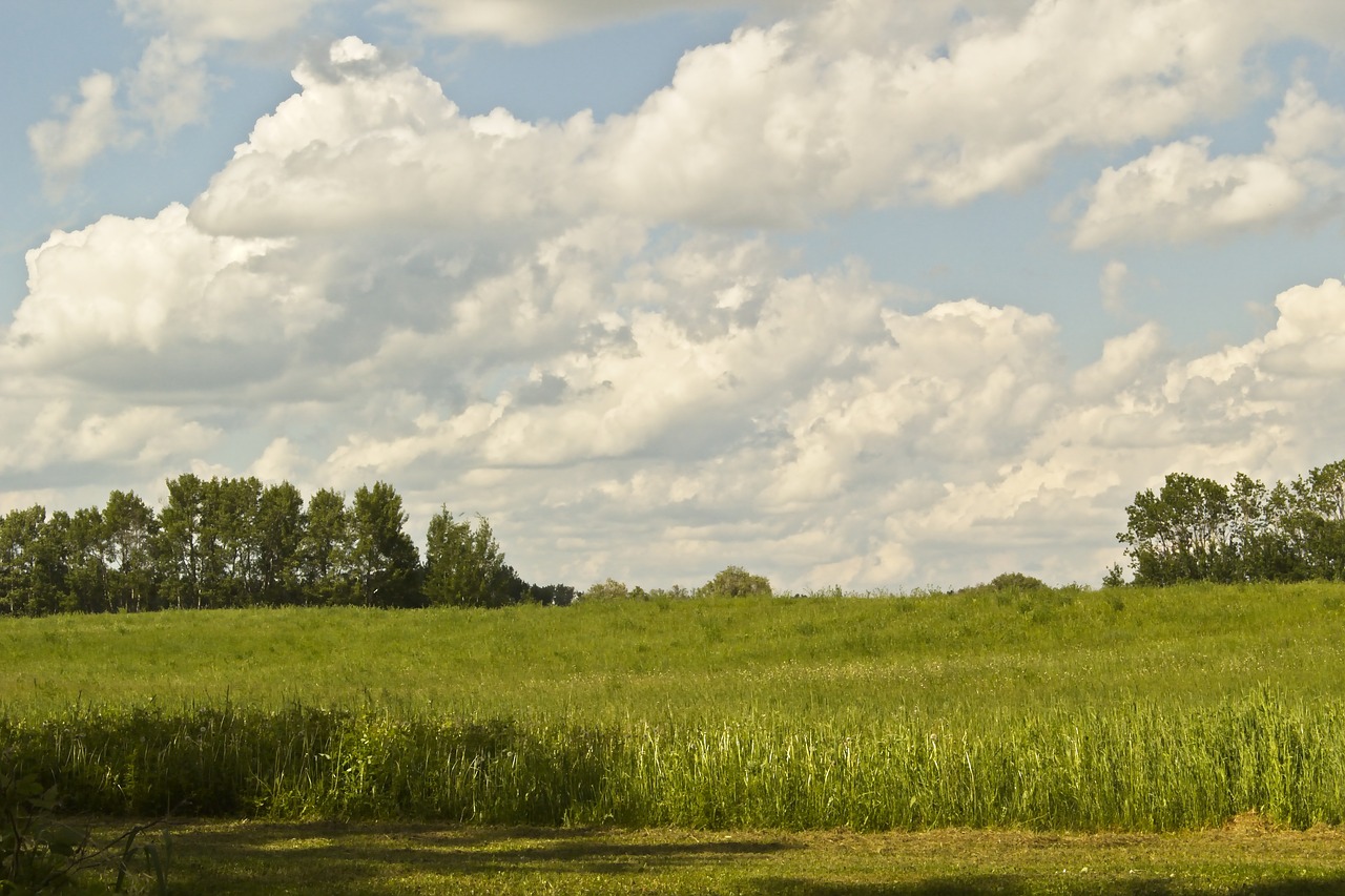 sky  countryside  hay meadow free photo