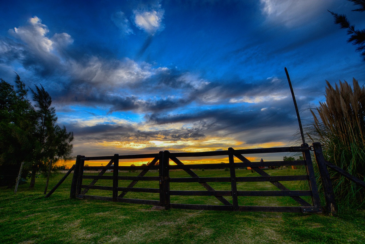 sky  lawn  nature free photo