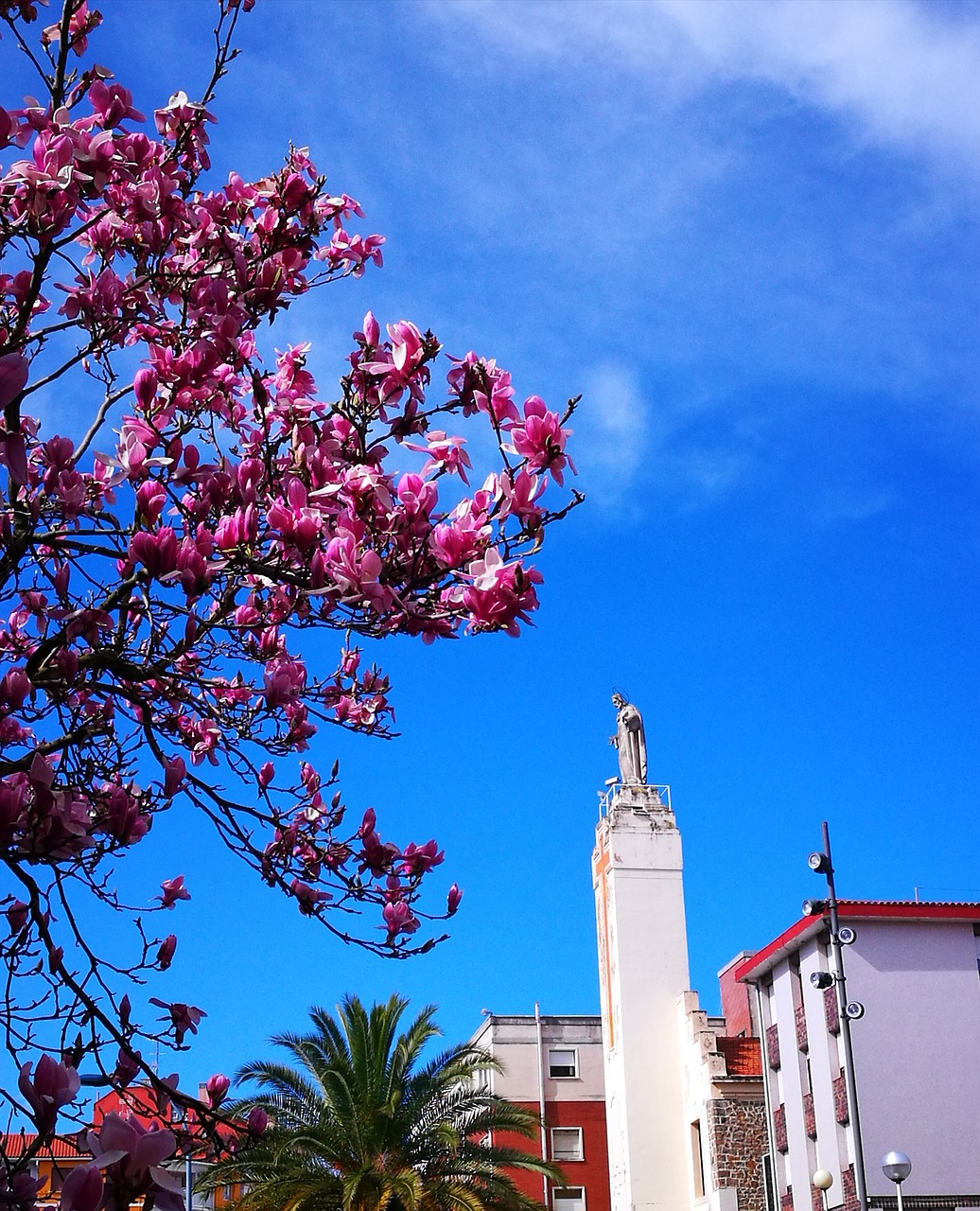 sky  magnolia  statue free photo