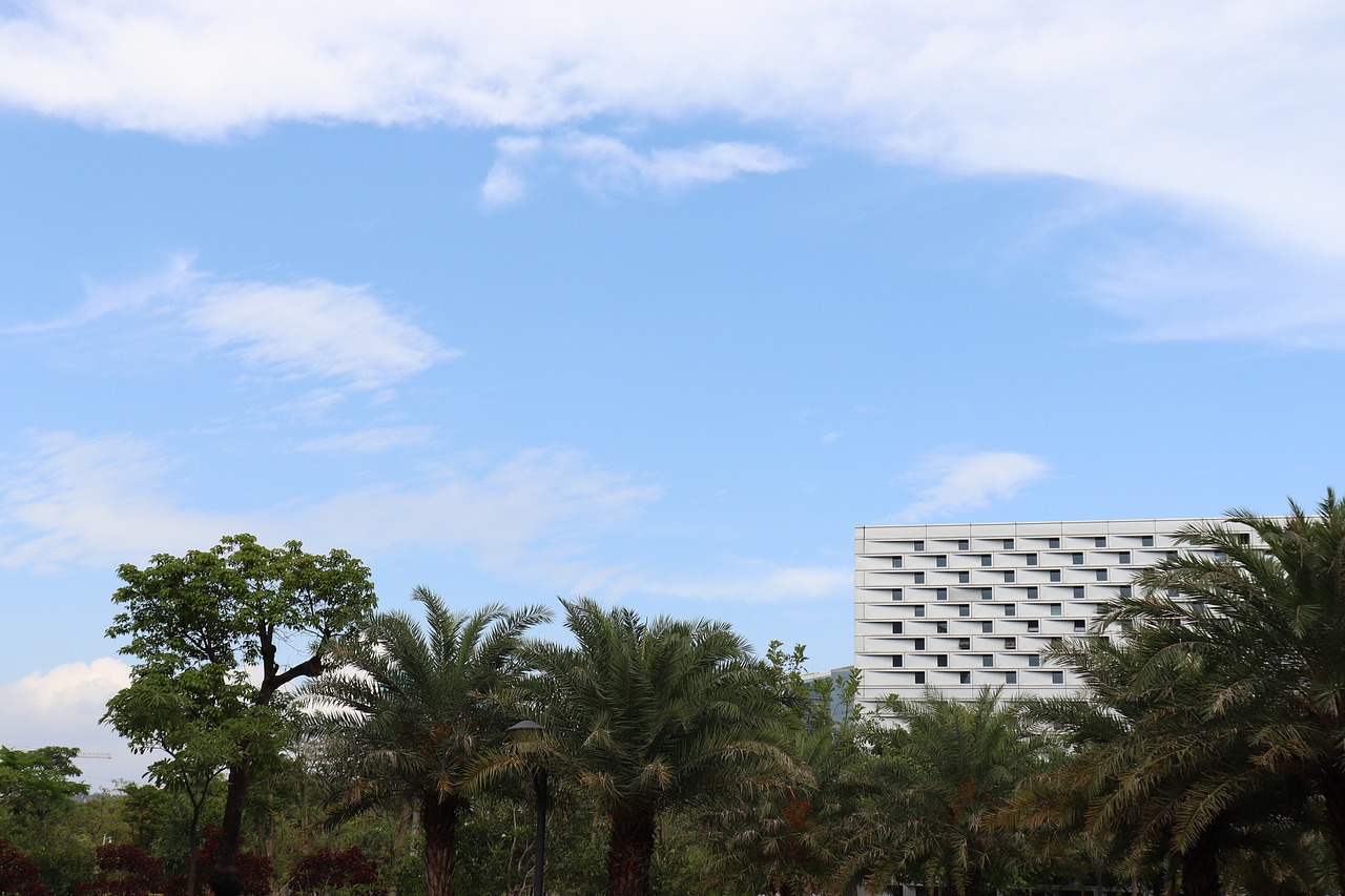 sky  tree  nature free photo