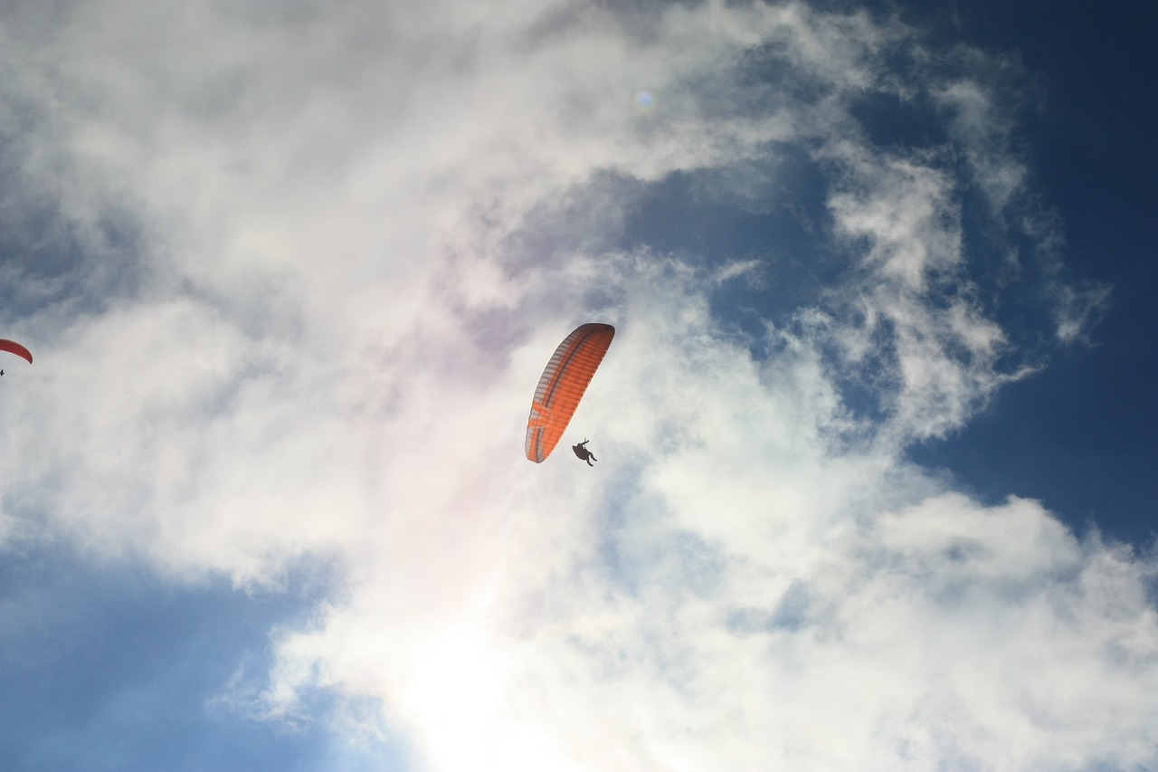 sky  the earth's atmosphere  flight free photo