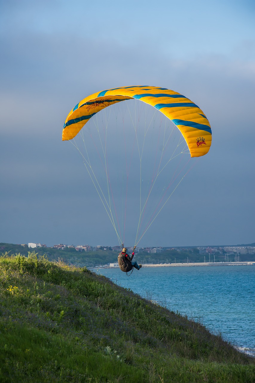 sky  parachute  leisure free photo