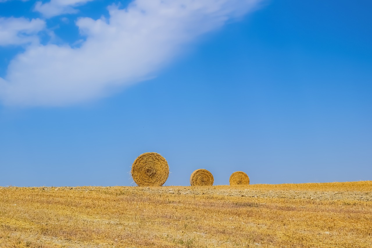 sky  landscape  rural free photo