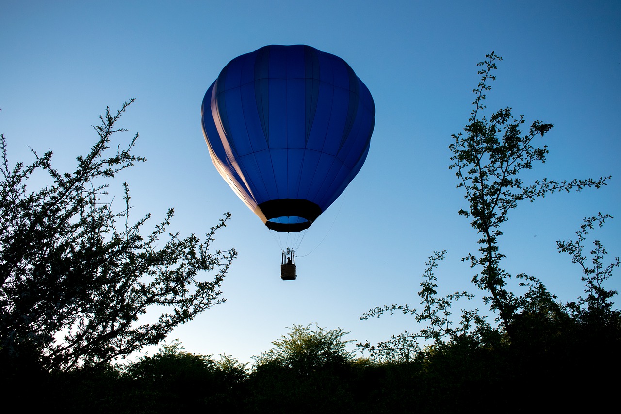 sky  balloon  air free photo